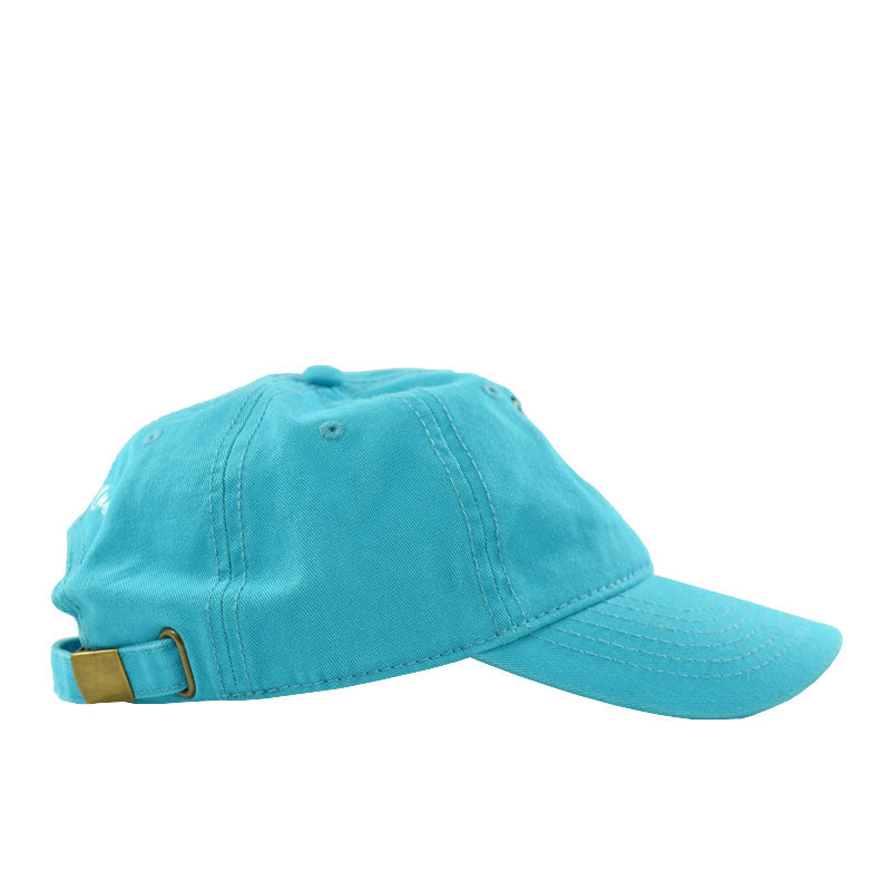 Lord Knowz Cap Teal